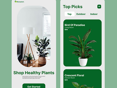 Online Plant Shopping App app graphic design landing ui ux website