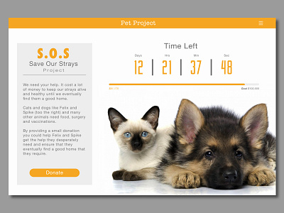 Daily UI Day 032 | Crowdfunding