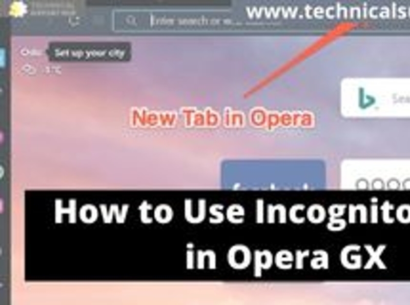 How to Use Incognito Mode in Opera GX by arnold schwarzenegger on Dribbble