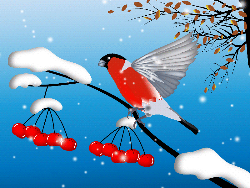  Beautiful Graphic Design Cardinal Birds in Snow