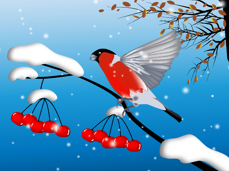 Winter bird 2d adobe illustrator animated bird animated gif animated illustration animation animation 2d anime studio bird cartoon graphic design illustration moho pro motion design motion graphics snowfall winter