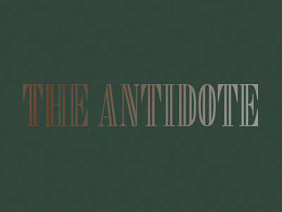 The Antidote custom serif type typography