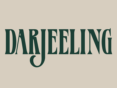 Darjeeling found retro serif type typography