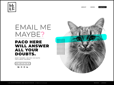 LaLolita - Contact cat design graphic design memphis memphis design personal web portfolio ui ux web web design