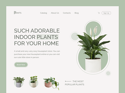 Shot of Plants store plants shot site store web web design website