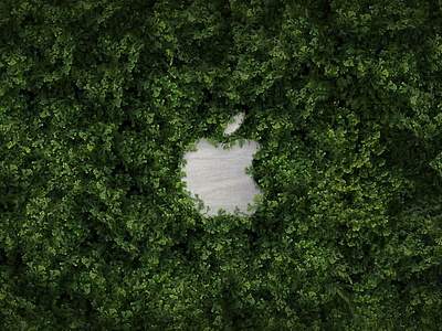 Apple Oxmoor apple apple store foster partners green wall oxmoor today at apple