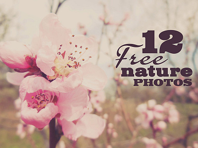 12 Free Nature Photos bundle dealjumbo download flowers free freebie nature photography photos retro vintage