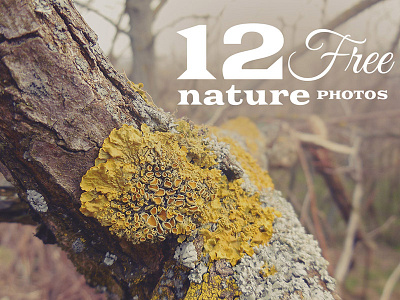 12 Free Nature Photos v.2 abstract background dealjumbo download free freebie image nature photo retro vintage wallpaper