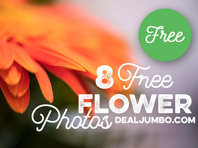 8 Free Flower Photos