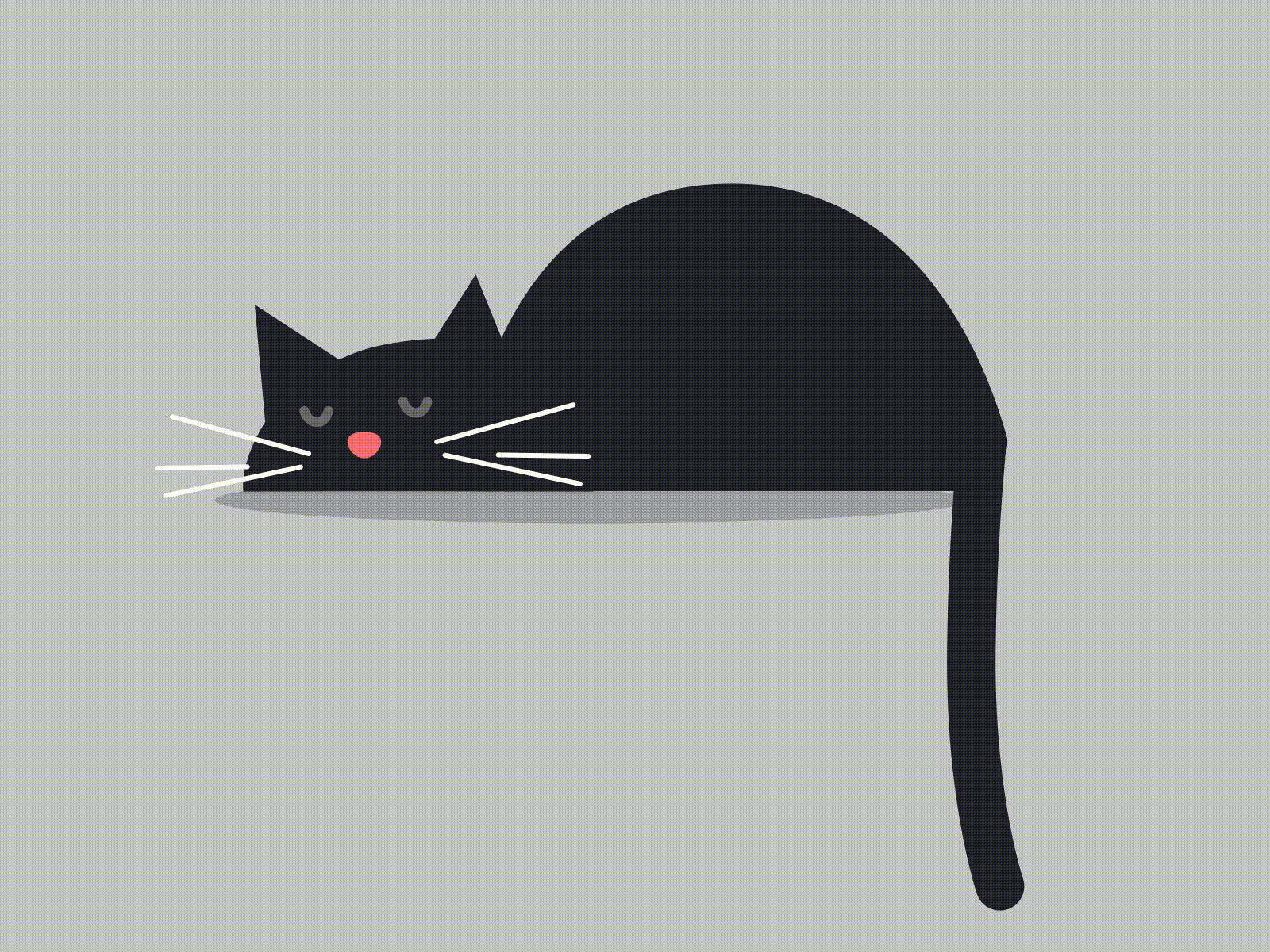 Cat Animation animations cats illustration illustrator motion vector