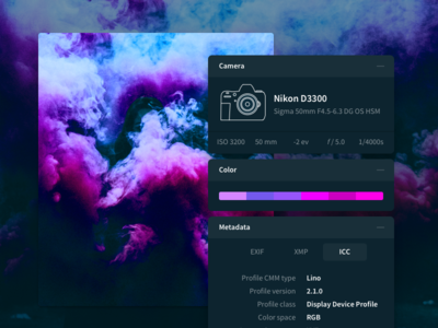 File detail page camera color file free metadata orbit palette ui ux widget