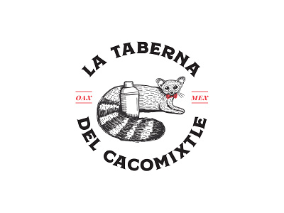 La Taberna del Cacomixtle | Logo alcohol animal beer beverage brand brandin illustration logo logotype mixology
