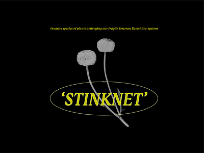 Invasive Plant PSA - Stinknet