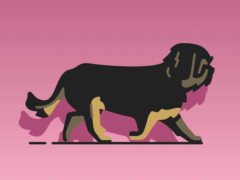 Luna walking animation dog dog illustration dog walk cycle dog walking illustration puppy shadow vector walk walk cycle walkcycle