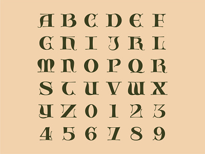 36 Days Of Type 2022 type typeart typedesign typeface typogaphy
