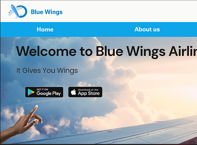 Blue Wings Airlines. branding graphic design ui