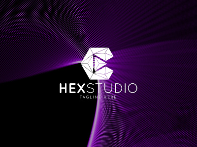 Hex studio logo template