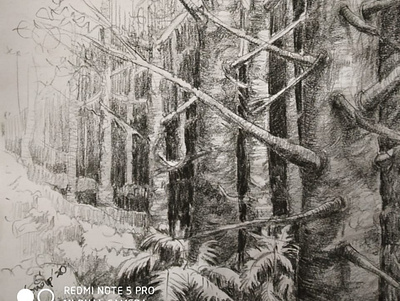 Landscape Pencil on paper illustration