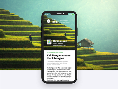 Heritage Travel App Design - India Travel App app apple india indus travel ui ux x