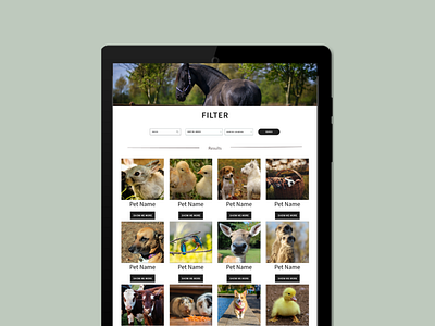Pet Adoption Website - Filter Page