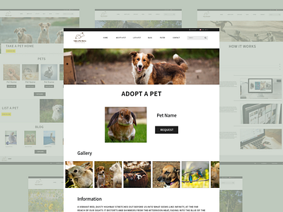 Pet Profile - Pet Adoption Website adobe xd adopt a pet animal website mockup pet adoption pet adoption website pet profile ui ux