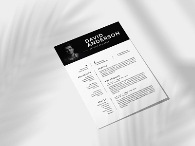 Minimal CV Design