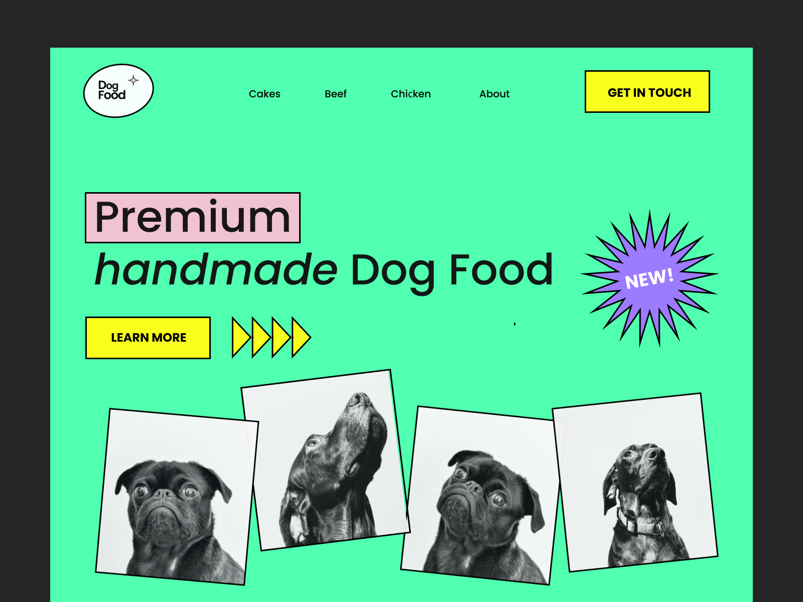 Premium handmade dog food/shot by Tatsiana Dubrova on Dribbble