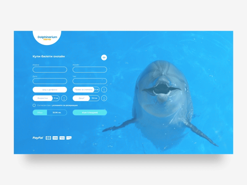 Landing page - loading animations animation design dolphins form grid load motion page tickets ui ux web