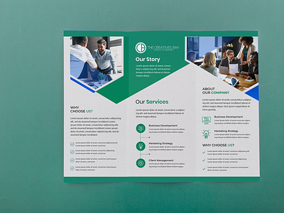 TRIFOLD BROCHURES branding brochure design flyer graphic design illustration logo trifoldbrochure typography ui ux vector