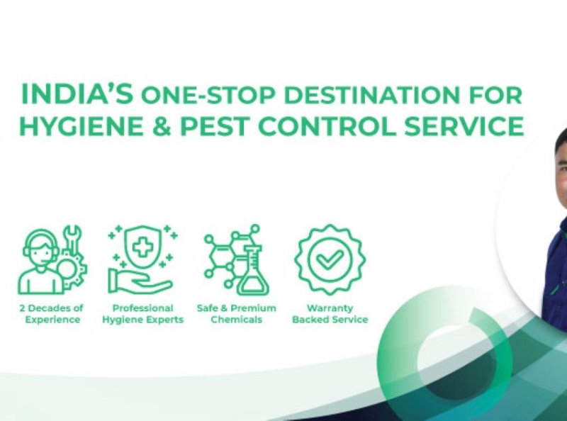 Do bed bugs bite every night? by HiCare on Dribbble