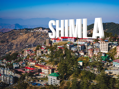 Shimla design illustration shimla
