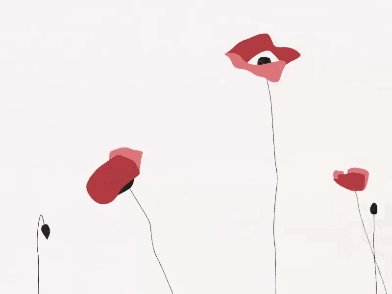 Lest We Forget 🖤🇳🇿 2d animation flowers illustration motion design poppies poppy rip war ww1