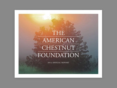 The American Chestnut Foundation american annual report book chestnut conservation nature print tree