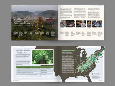 The American Chestnut Foundation 3 american annual report book chestnut conservation nature print spreads tree