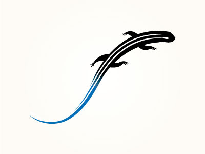 Cane Creek 3 cane creek cycling cycling logo mark rejected skink