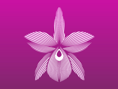 Orchid2 botanical flower line art logo mark nature orchid tropical