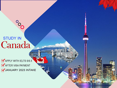 Study in Canada Flyer design banner branding canada comments consultency facebook ads facebook post flyer flyer design graphic design like social media
