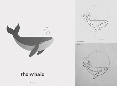 The Whale golden ratio illustration vector