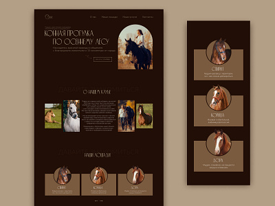 Landing page for Horse club concept design horse club horses landing landing page ui