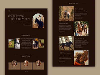 Landing page for Horse club design horse horse club landing landing page ui ux