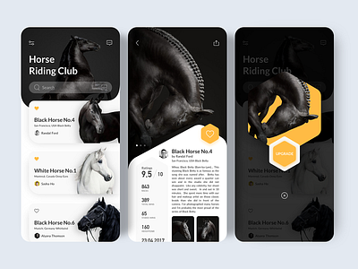 Horse Riding Club continue to work hard design interface ue ui ux