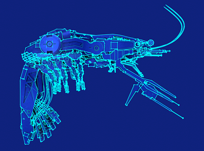 Battle Shrimp concept - Naval Forces of Ukraine (sketches) 3d 3d art blender design graphic design illustration render