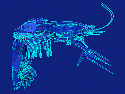 Battle Shrimp concept - Naval Forces of Ukraine (sketches)