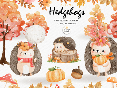 Autumn hedgehog