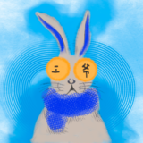 rabbit888（370757157@qq.com）