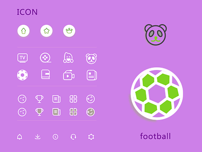 Icon2 icon