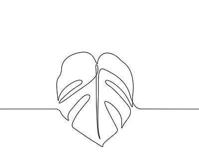 Monstera Leaf vector one line drawing illustration illustration line art line art illustration line drawing minimalist art vector art