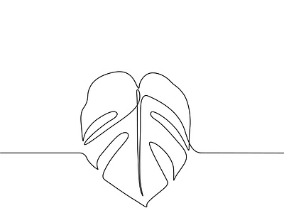 Monstera Leaf vector one line drawing illustration