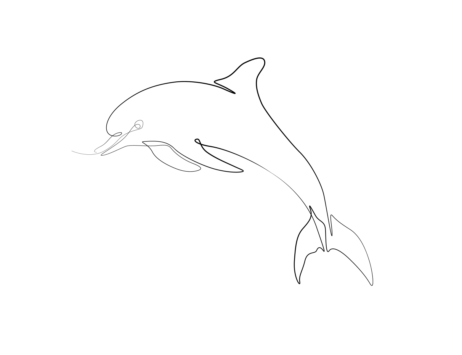 Dolphin black & white vector line drawing illustration by Khadija ...