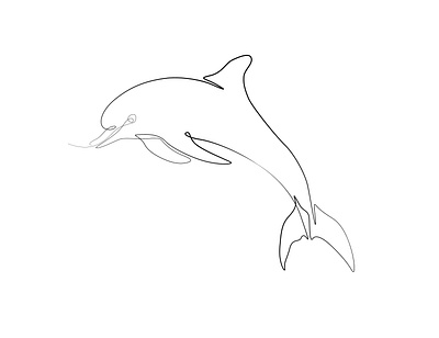 Dolphin black & white vector line drawing illustration design illustration line art line art illustration line drawing minimalist minimalist art vector art